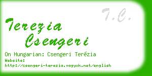 terezia csengeri business card